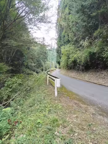 細田林道2025道普請　見通しが良くなった-上直竹上分の写真